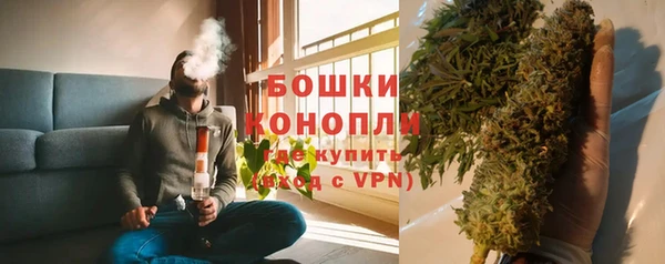 гидропоника Гусь-Хрустальный