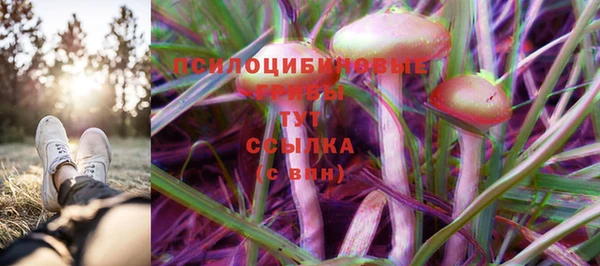 гидропоника Гусь-Хрустальный