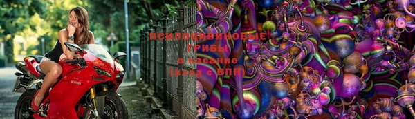 мяу мяу кристалл Гусев