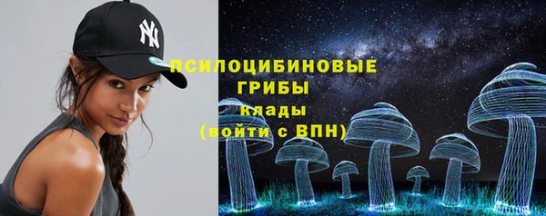 гидропоника Гусь-Хрустальный