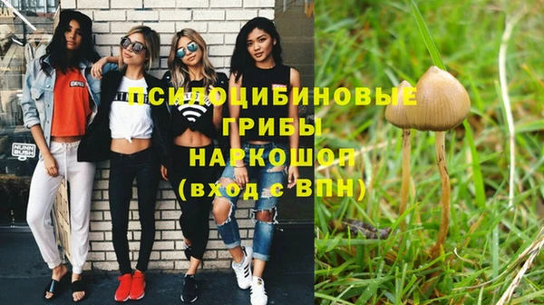 стафф Дмитров