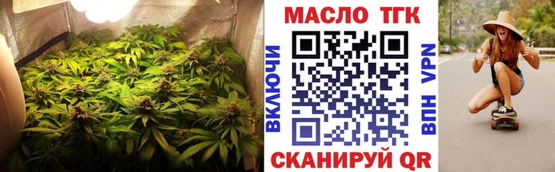 Купить  Кашин  ТГК концентрат 