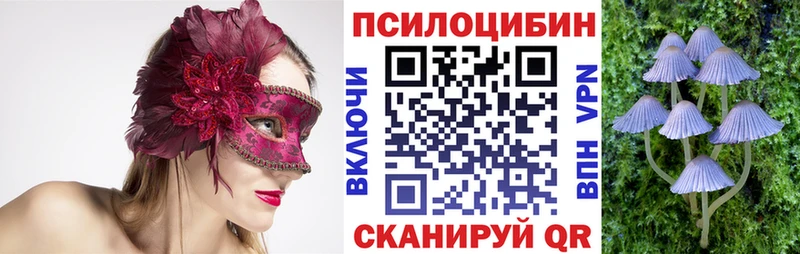 Псилоцибиновые грибы ЛСД  Купить  Кашин 