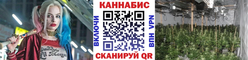 Каннабис White Widow Кашин